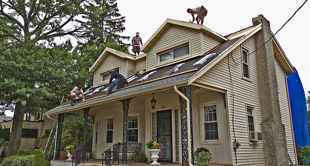 Best Flat Roof Repair Services  in Prairie City, IA