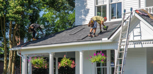 Best Roof Gutter Cleaning  in Prairie City, IA